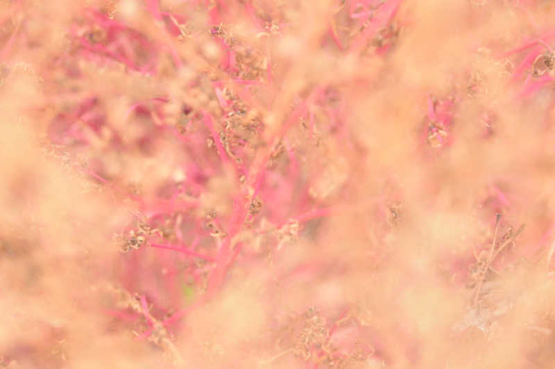 maisaunaさんのトライアルゴルフ&リゾートASO COURSE/阿蘇キャニオンテラス&ロッジのサ活写真