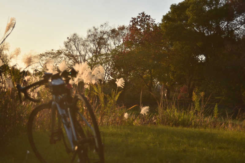 maisaunaさんのばってんの湯のサ活写真