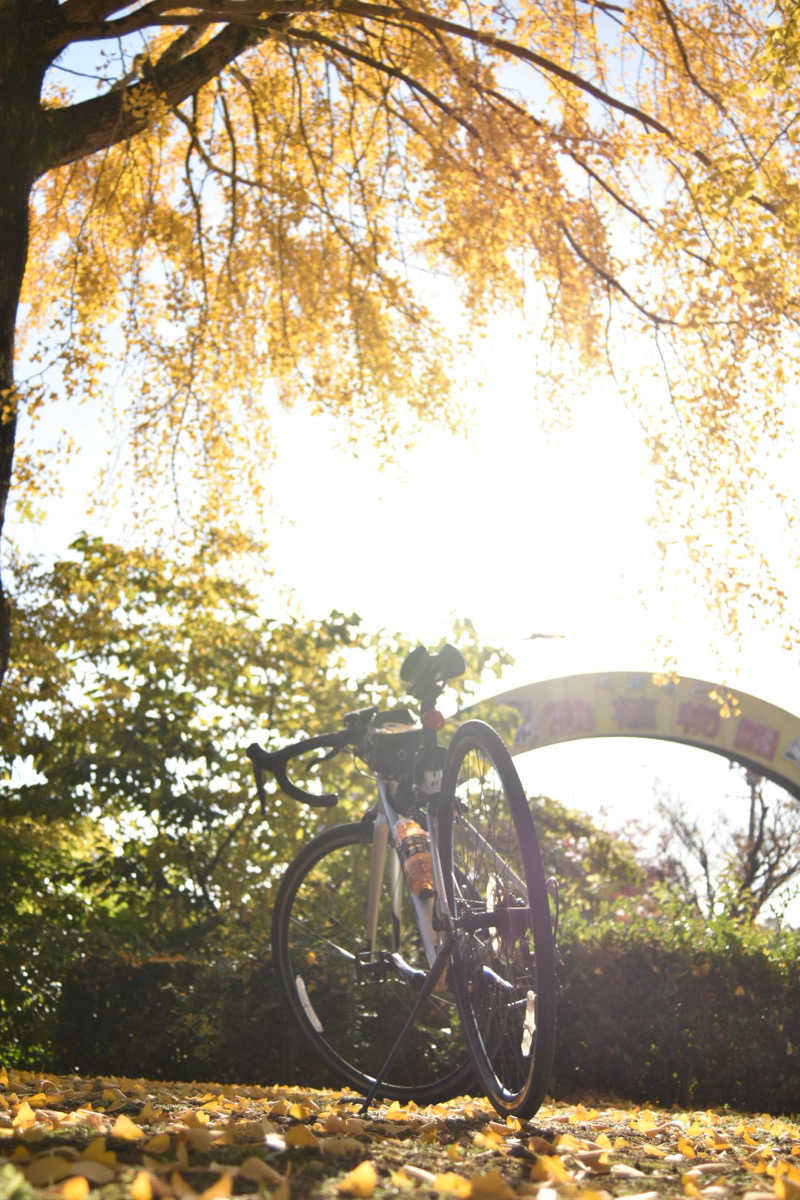 maisaunaさんのばってんの湯のサ活写真