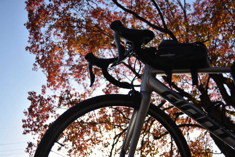 maisaunaさんのばってんの湯のサ活写真