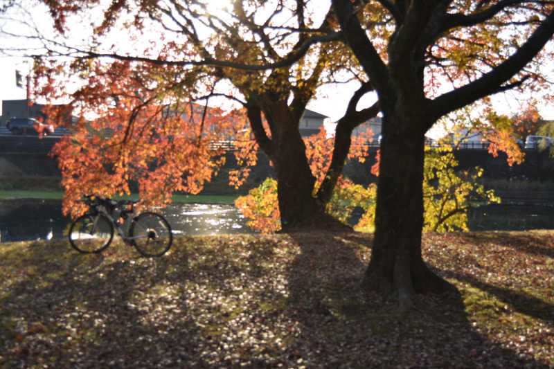 maisaunaさんのばってんの湯のサ活写真