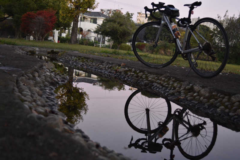 maisaunaさんのばってんの湯のサ活写真