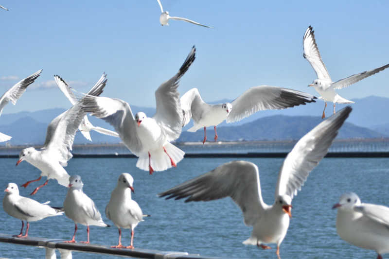 maisaunaさんの雲仙みかどホテル本館のサ活写真