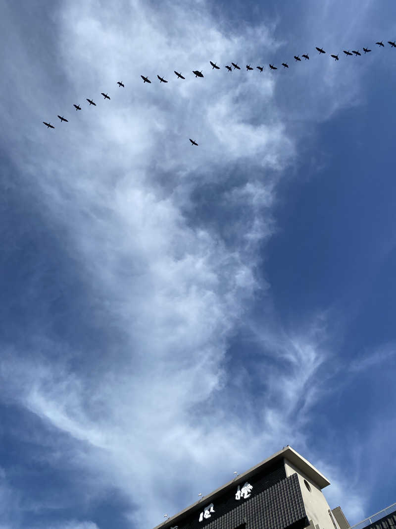 maisaunaさんの島原温泉 ホテル南風楼のサ活写真