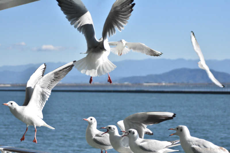 maisaunaさんの島原温泉 ホテル南風楼のサ活写真