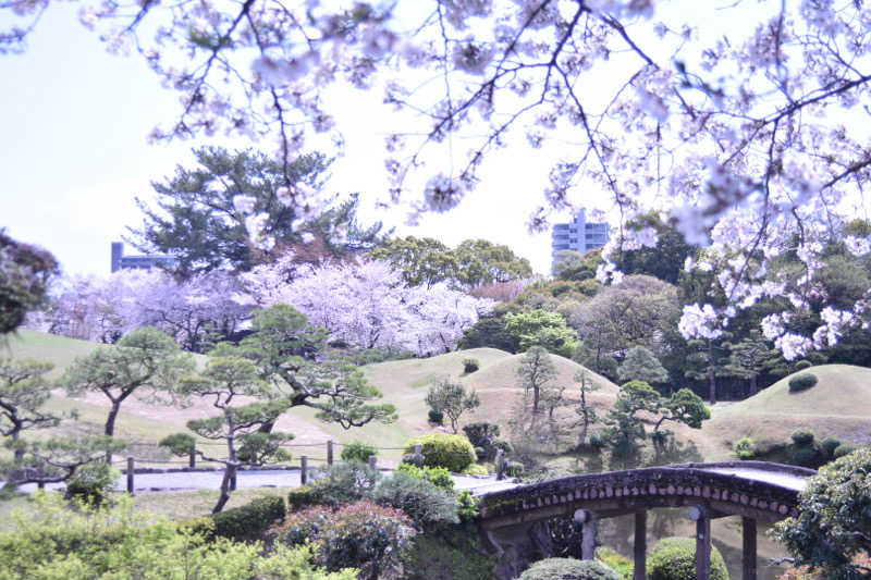 maisaunaさんのサウナと天然温泉 湯らっくすのサ活写真
