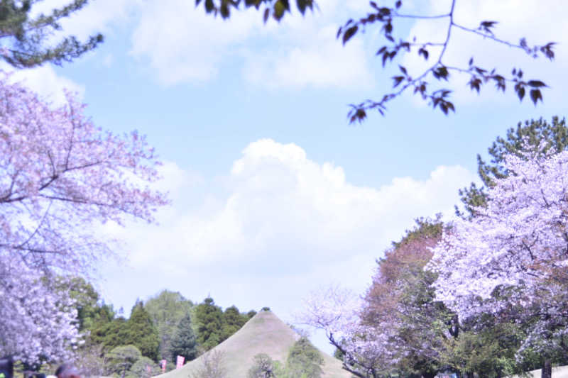 maisaunaさんのサウナと天然温泉 湯らっくすのサ活写真