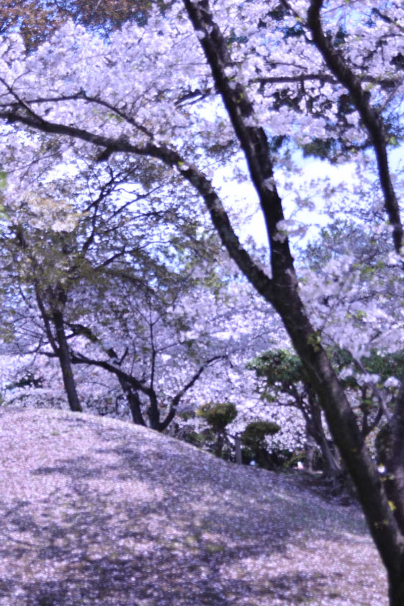maisaunaさんのサウナと天然温泉 湯らっくすのサ活写真
