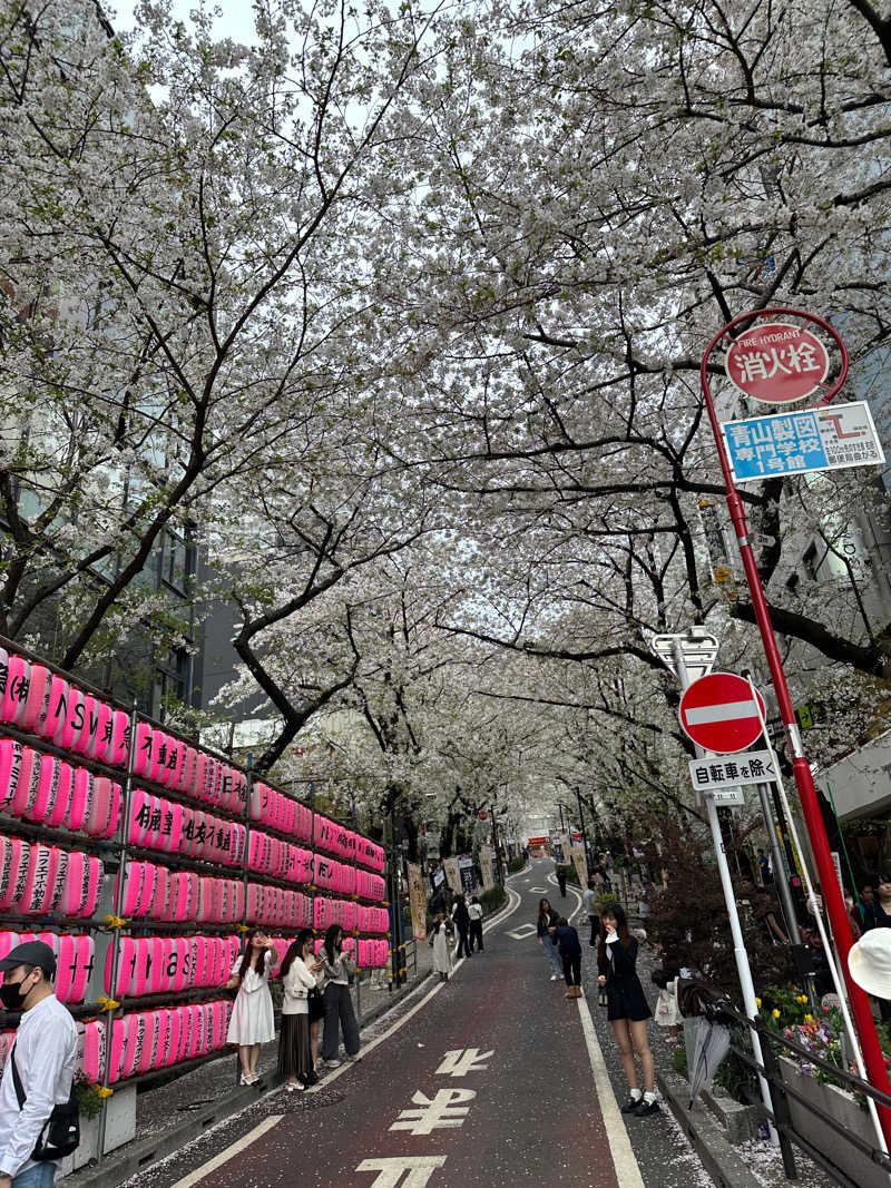 チコ丸さんの渋谷SAUNASのサ活写真