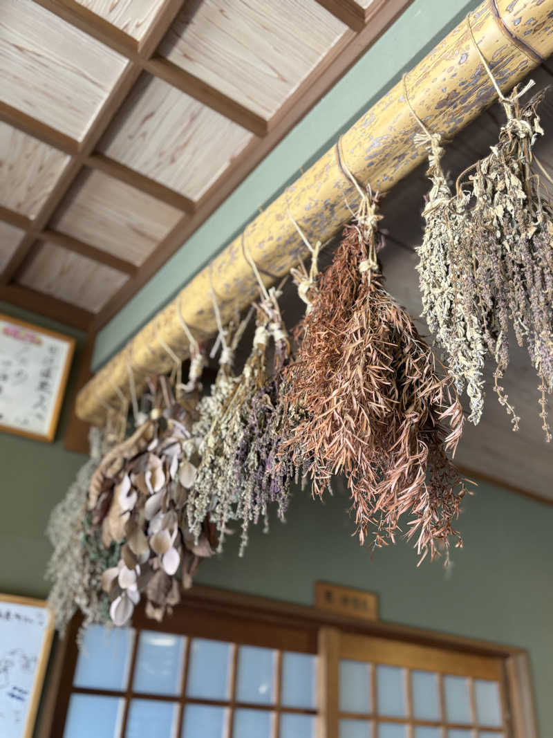 蒸し美さんの田辺温熱保養所のサ活写真