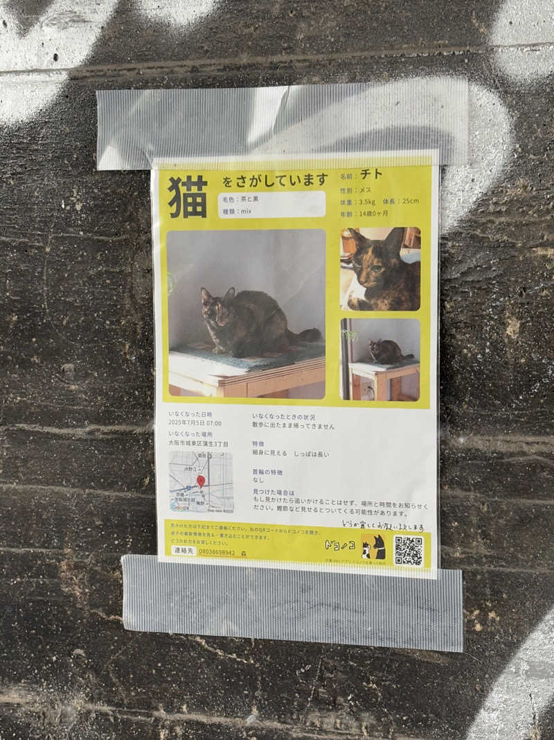 蒸し美さんのユートピア白玉温泉のサ活写真