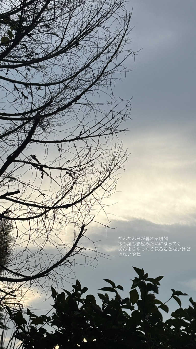 蒸し美さんのume, yamazoeのサ活写真