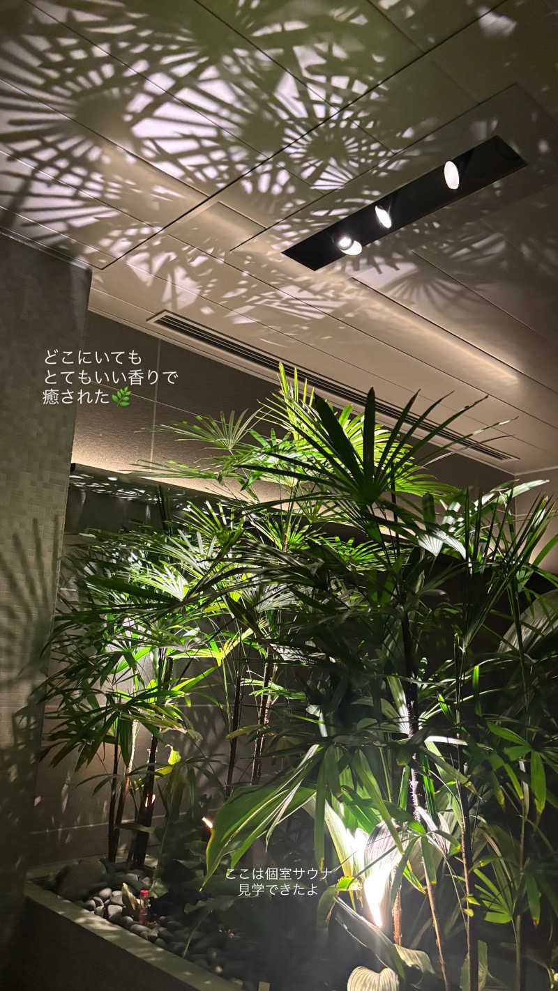 蒸し美さんの高輪SAUNASのサ活写真