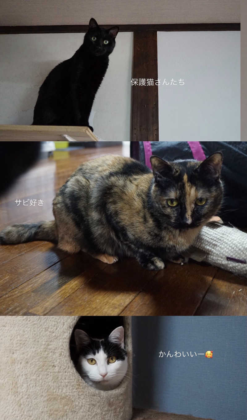 蒸し美さんの第二寿湯のサ活写真