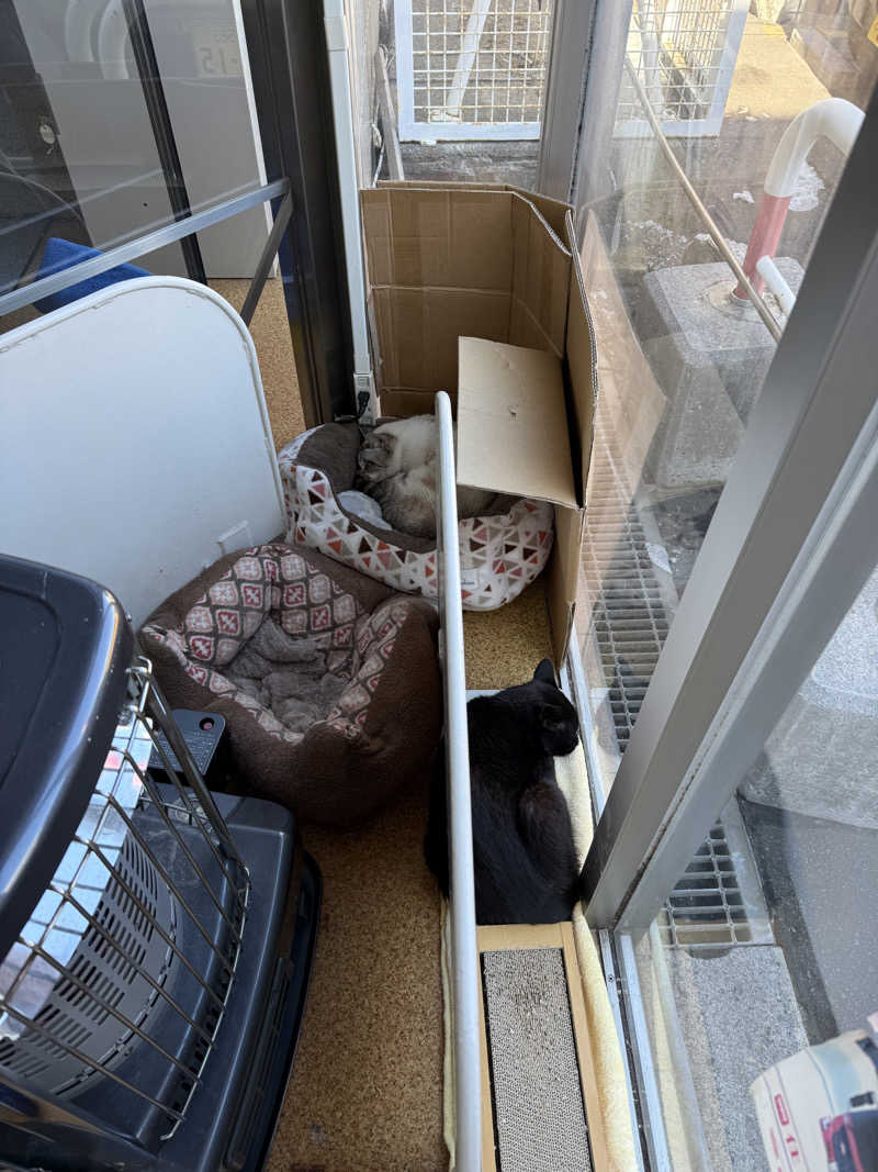 Saunner_Pさんの花園温泉のサ活写真