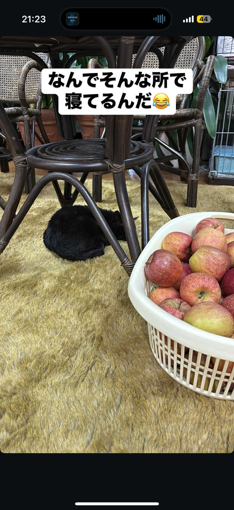 Saunner_Pさんの花園温泉のサ活写真