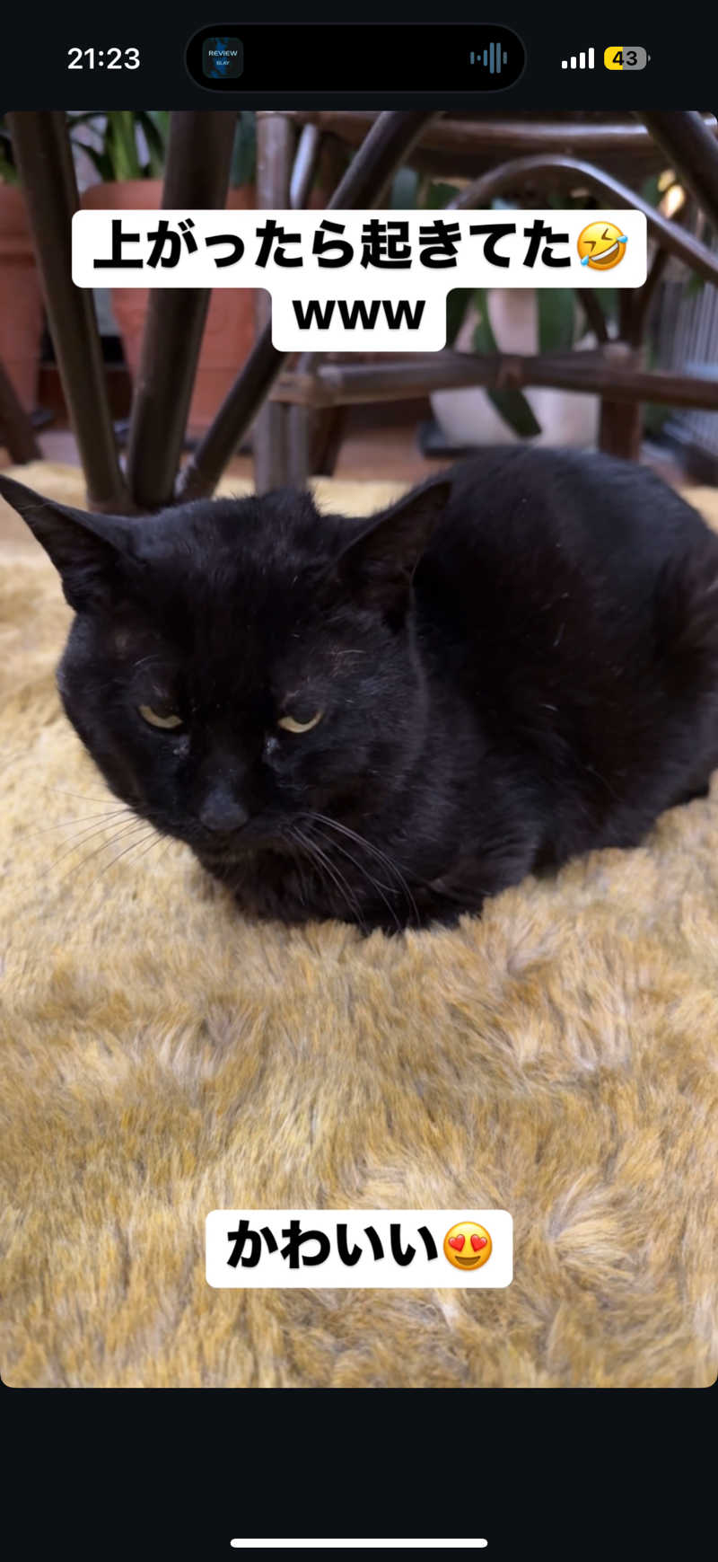 Saunner_Pさんの花園温泉のサ活写真