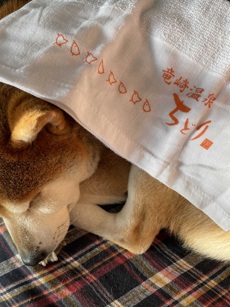 ggさんの竜崎温泉ちどり 潮風の湯のサ活写真