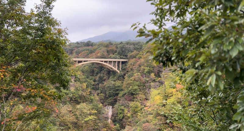 藏人さんの鳴子温泉 旅館すがわらのサ活写真