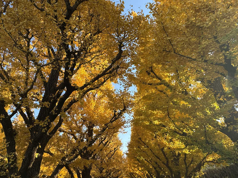 藏人さんのTOTOPA 都立明治公園店のサ活写真