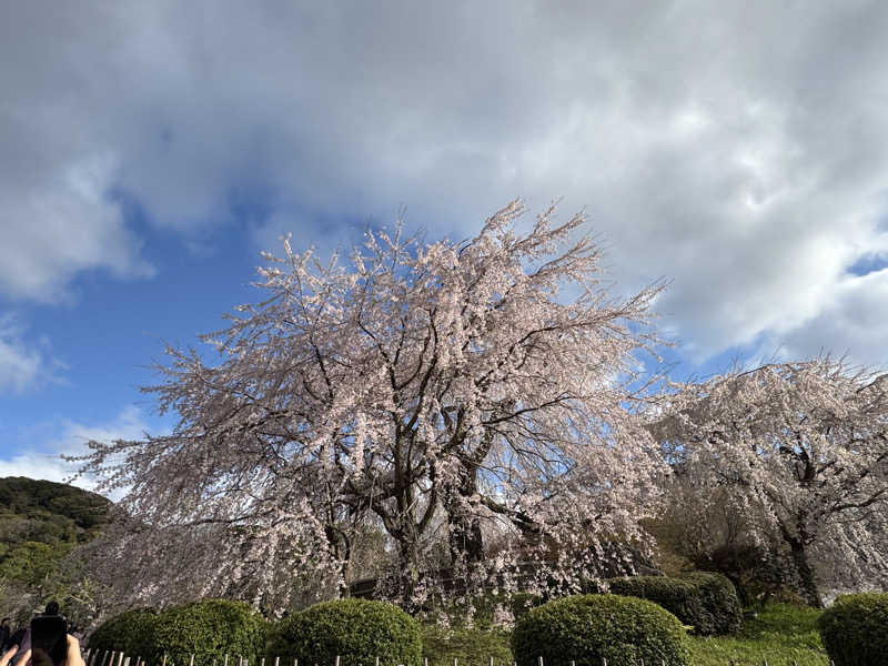 藏人さんの五香湯のサ活写真