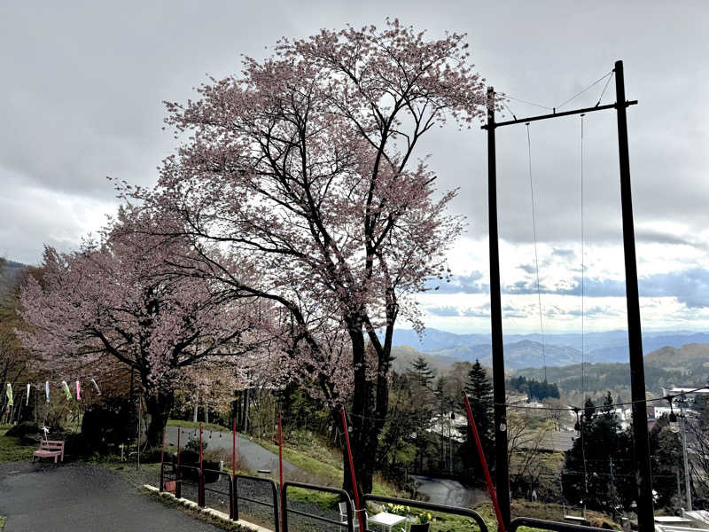 藏人さんの高湯温泉 善七乃湯のサ活写真