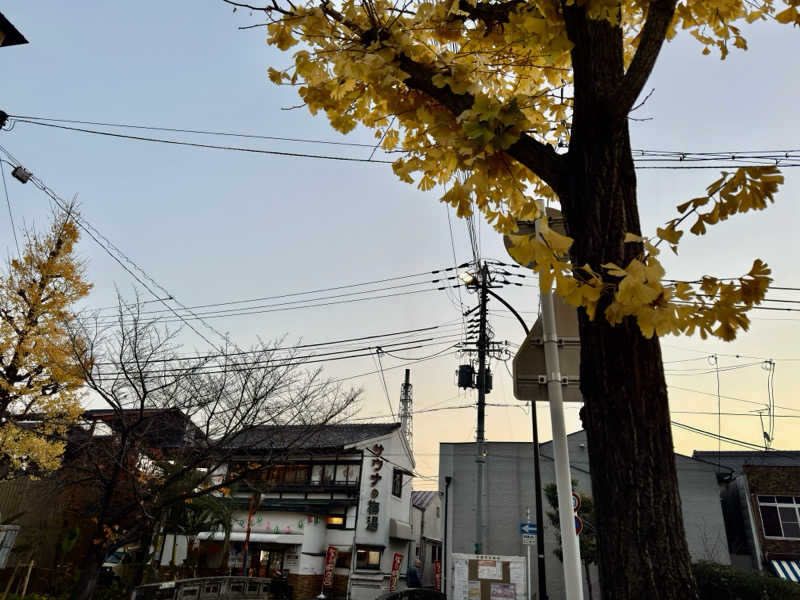 藏人さんのサウナの梅湯のサ活写真