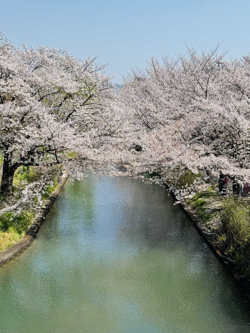 藏人さんの新地湯のサ活写真