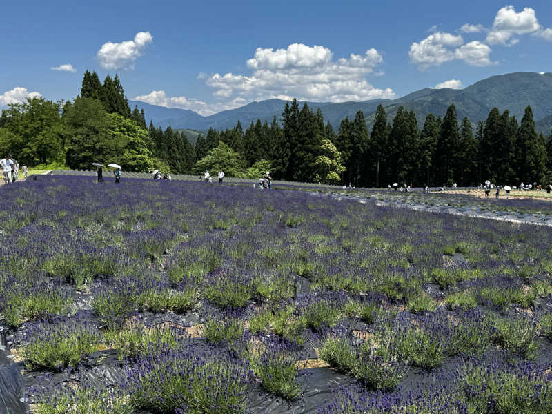 藏人さんのあきた芸術村 温泉ゆぽぽのサ活写真