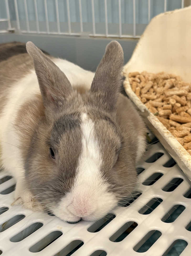 くまよめ🐻♨さんのアクアリゾート 岐阜ふじの湯のサ活写真