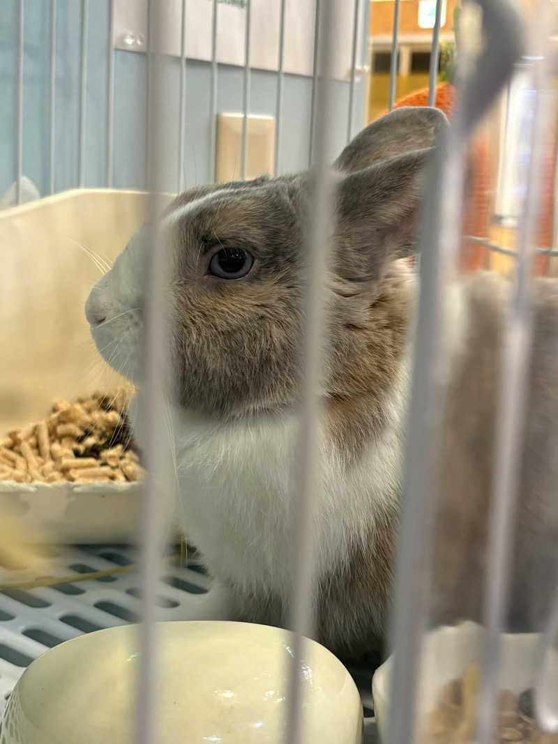 くまよめ🐻♨さんのアクアリゾート 岐阜ふじの湯のサ活写真