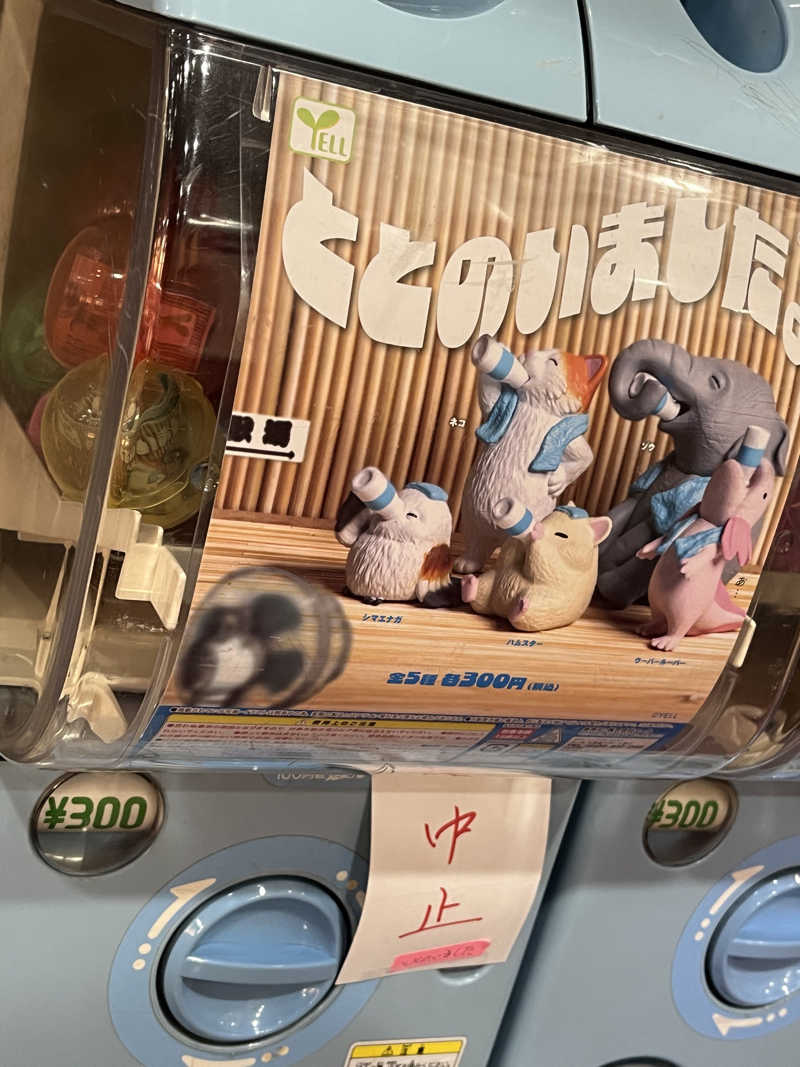 かっきぃさんの天然温泉 めぐみの湯のサ活写真