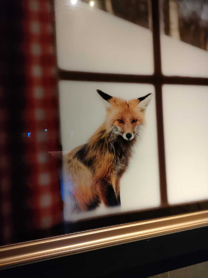 とおるさんのザ・センチュリオンサウナレスト&ステイ札幌のサ活写真