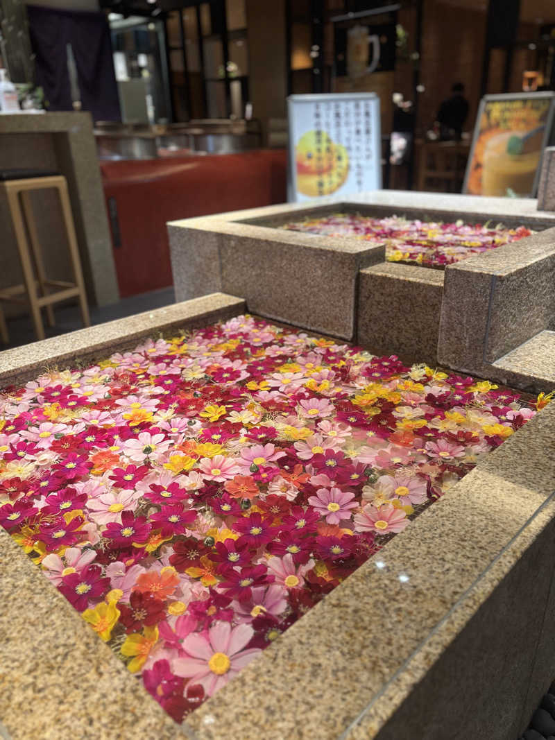 おかしゃんさんの綱島源泉 湯けむりの庄のサ活写真