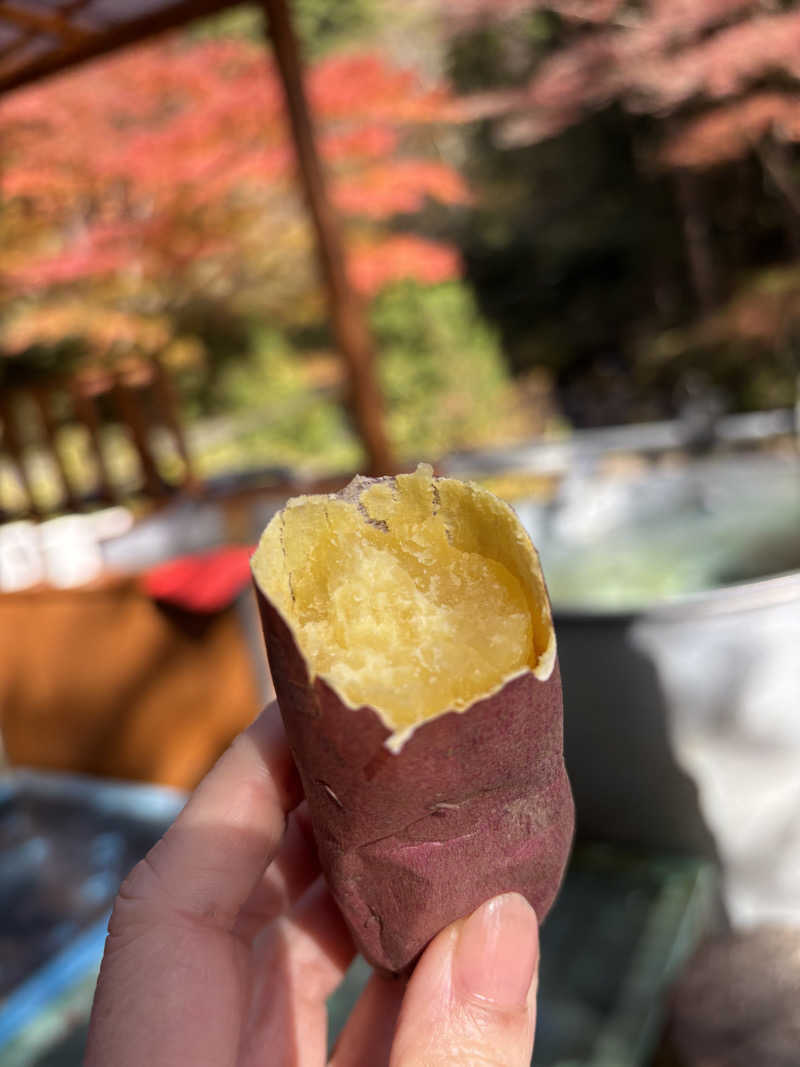 おかしゃんさんの天子荘 てんからハウスのサ活写真