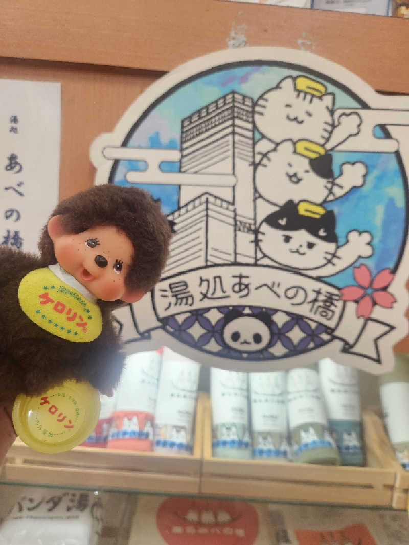 サ活するモンチッチさんの湯処 あべの橋のサ活写真