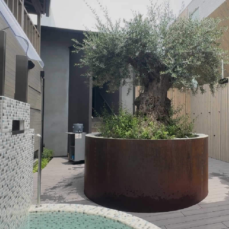 まこちさんのsauna kolme kylä (サウナ コルメ キュラ)のサ活写真