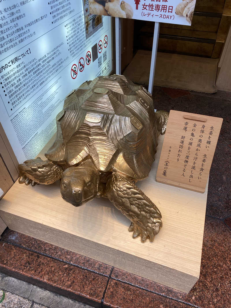 しましまのこねこさんの生姜サウナ「金の亀」のサ活写真