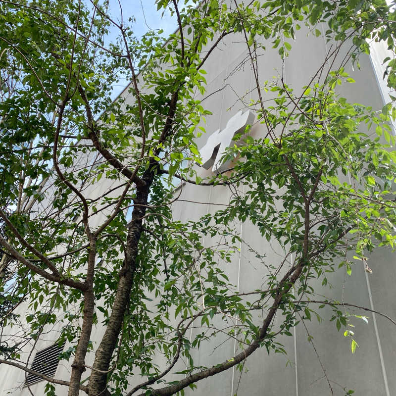 しましまのこねこさんの渋谷SAUNASのサ活写真