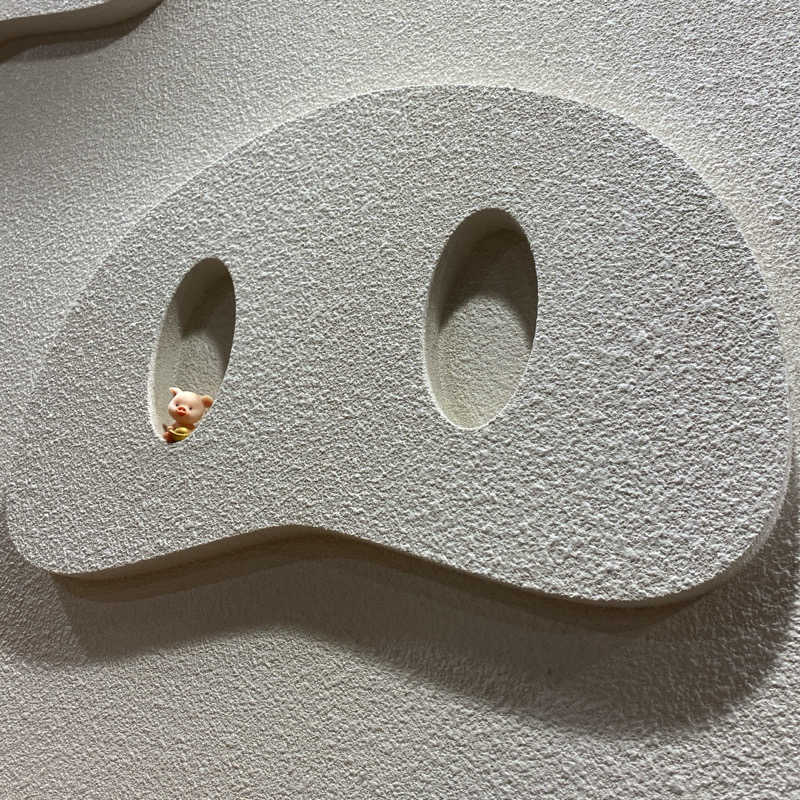 しましまのこねこさんの生姜サウナ 金の亀のサ活写真