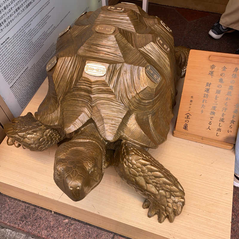 しましまのこねこさんの生姜サウナ 金の亀のサ活写真