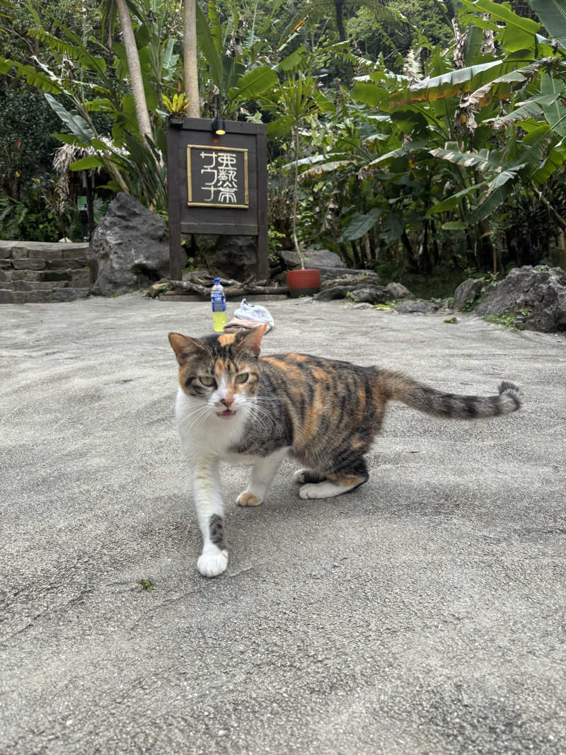 あゆたろうさんの亜熱帯サウナのサ活写真