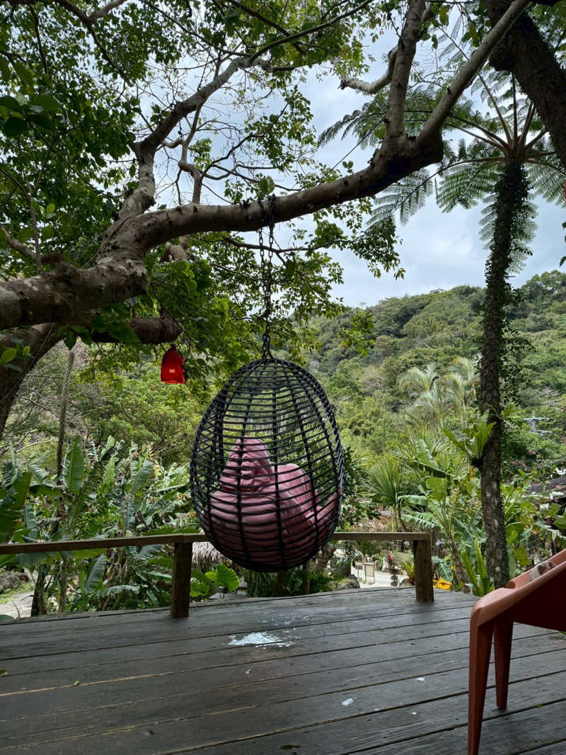 あゆたろうさんの亜熱帯サウナのサ活写真