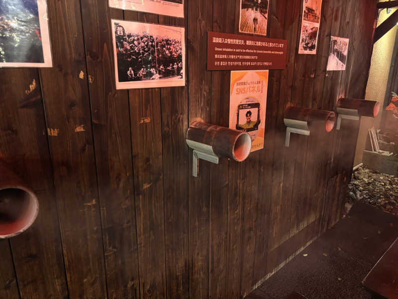 まおさんのひょうたん温泉のサ活写真