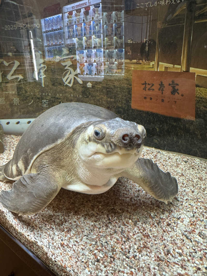 まあろさんの松本湯のサ活写真