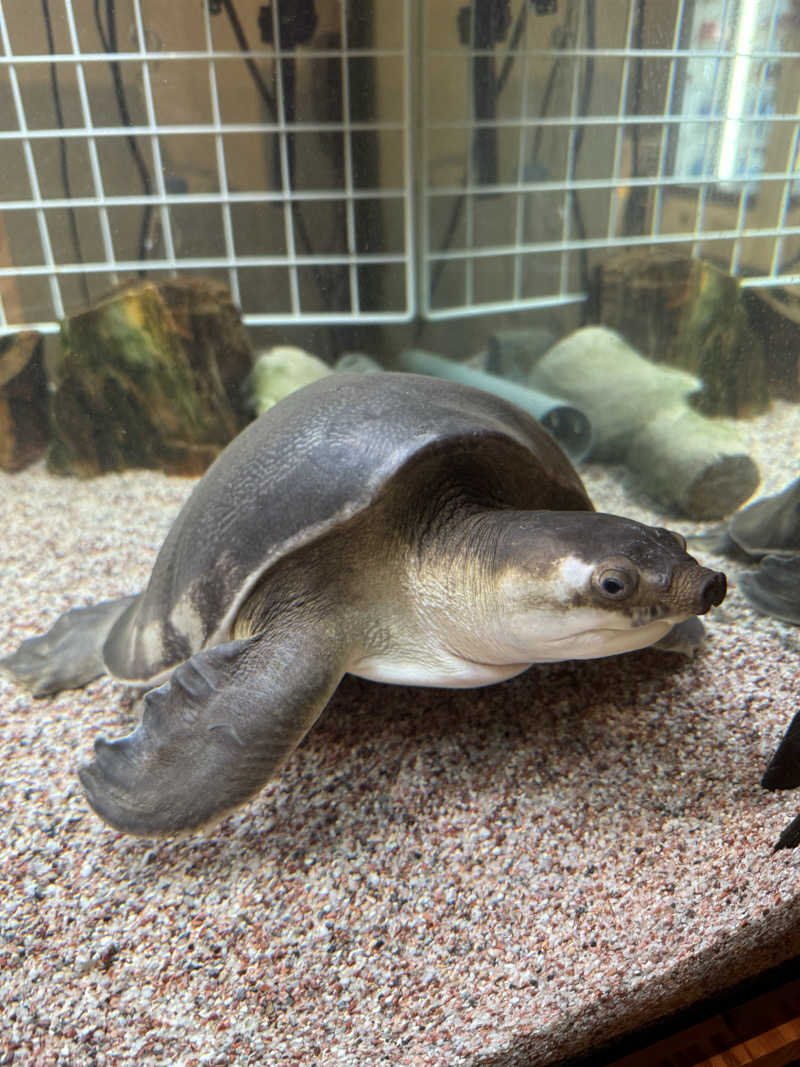 まあろさんの松本湯のサ活写真