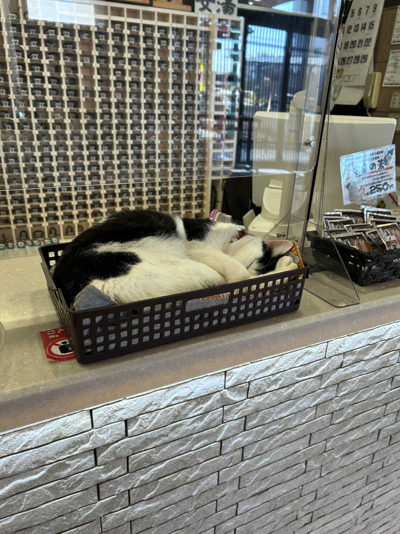 ゆぽぽさんの行田・湯本天然温泉 茂美の湯のサ活写真