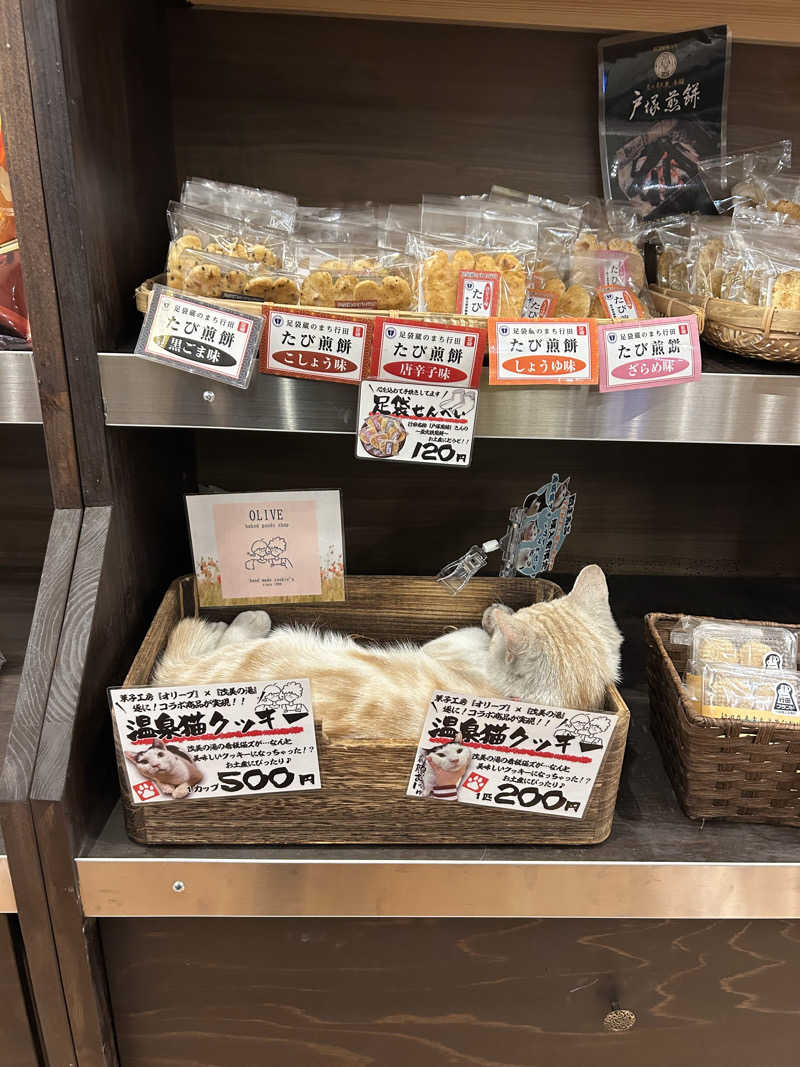 ゆぽぽさんの行田・湯本天然温泉 茂美の湯のサ活写真