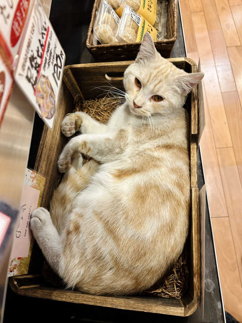 ゆぽぽさんの行田・湯本天然温泉 茂美の湯のサ活写真
