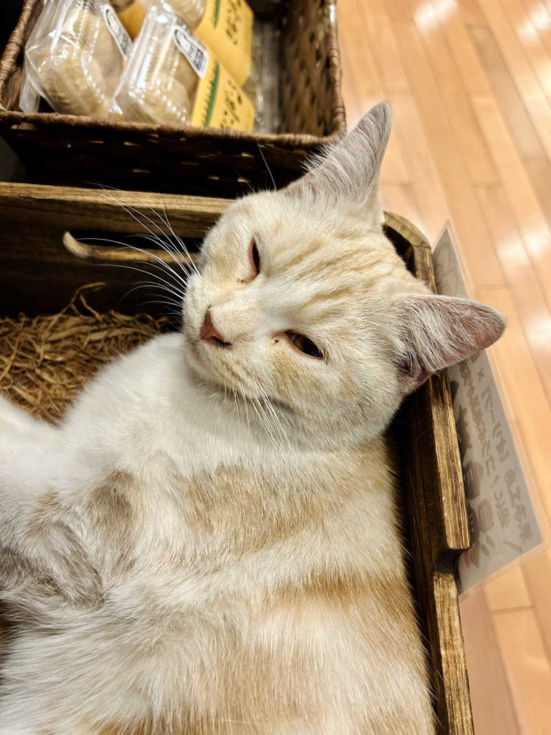 ゆぽぽさんの行田・湯本天然温泉 茂美の湯のサ活写真